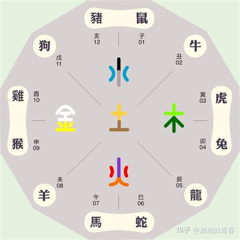 生肖 五行屬性|十二生肖五行属性对照表，古人的智慧，值得品读和借鉴！